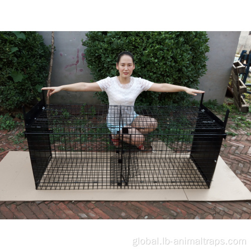 Live Animal Cage Trap Humane Possum Cage Live Animal Safe Catch Supplier
